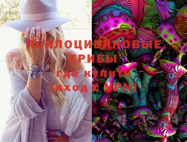 индика Бородино